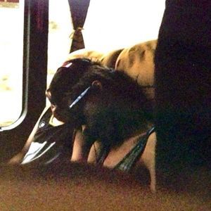 Meet your Posher, Jeff